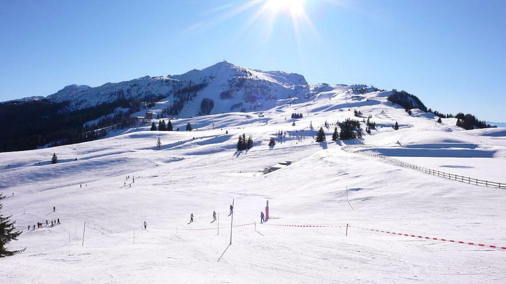 Ferienwohnung Blick Auf Die Berge Pidingerau Extérieur photo